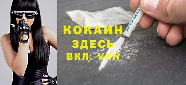 прущие грибы Домодедово