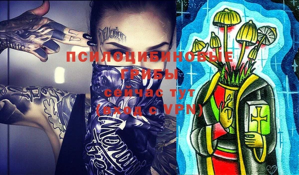 прущая мука Каменногорск