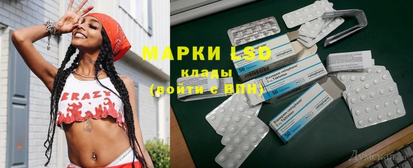 стаф Чекалин