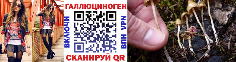 ОМГ ОМГ маркетплейс  Верхняя Тура  Галлюциногенные грибы Psilocybine cubensis 